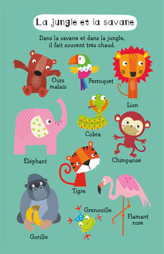 Mon premier cherche et trouve sonore - Animaux