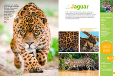 Mon encyclo des animaux
