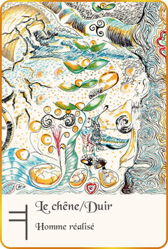 L'Ogham du bois sacré - Cartes Oracle