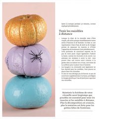 Inspiration citrouille