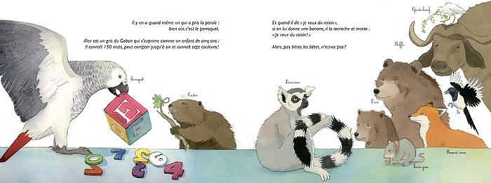 Pas bêtes les bêtes !