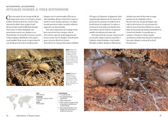 Les araignées du monde