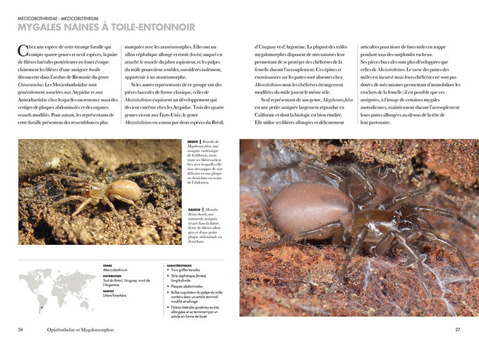 Les araignées du monde