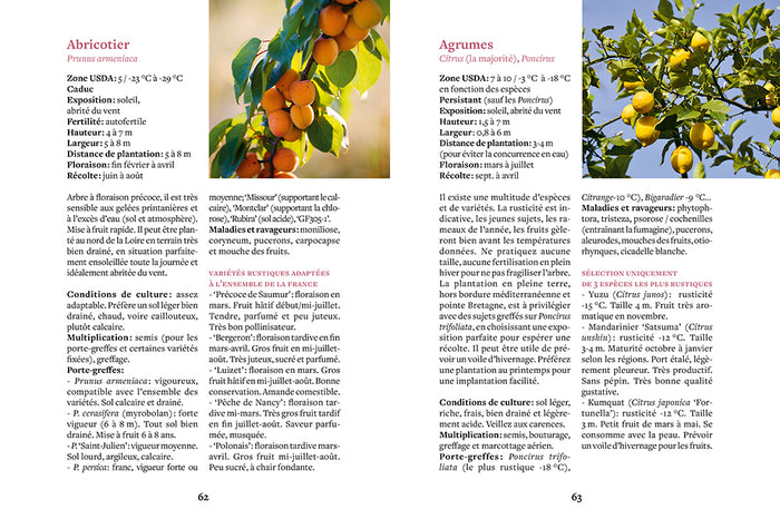 Créer et entretenir un verger permaculturel