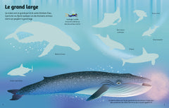 L'océan - Premiers autocollants