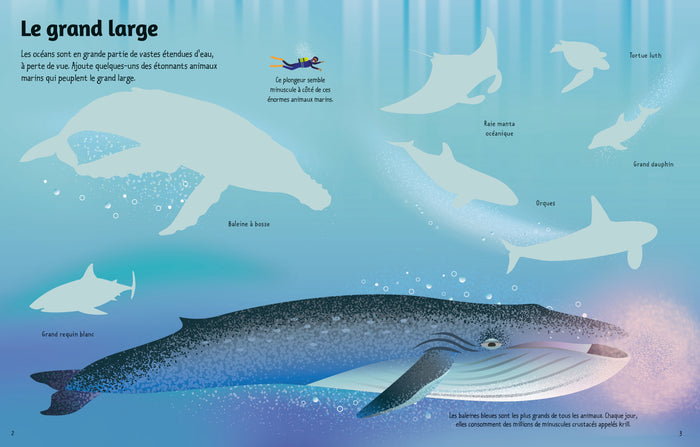 L'océan - Premiers autocollants