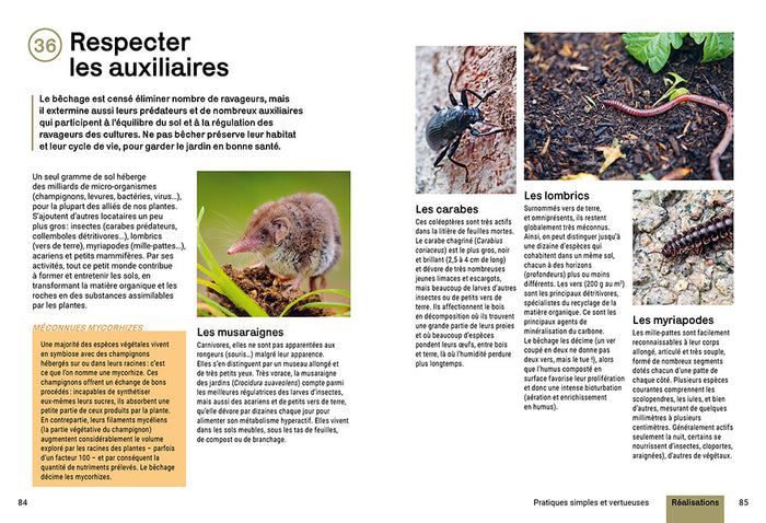 Cultiver sans bêcher - Techniques alternatives - Végétation couvre-sol - Respecter la terre