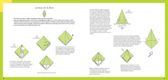 Leçons d'Origami
