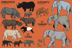 Beaucoup beaucoup d'animaux