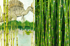 Jurassic Plantes - Ginkgos, magnolias, prêles... l'esprit jungle dans votre jardin