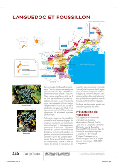 La sommellerie de référence
