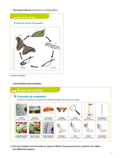 Education scientifique à grands pas -PS-MS-GS