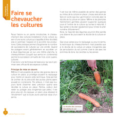 J'optimise l'espace au potager