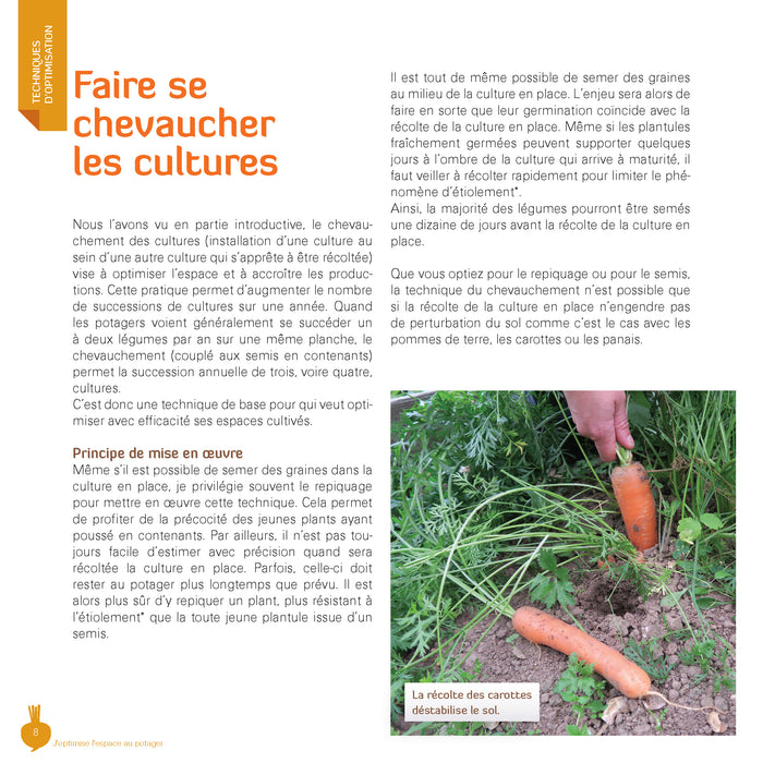 J'optimise l'espace au potager