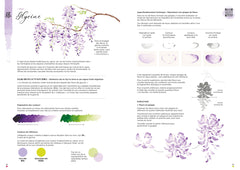 Leçons d'aquarelle japonaise