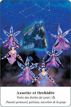 L'oracle alchimique de la Terre