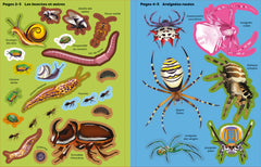Insectes et autres petites bêtes