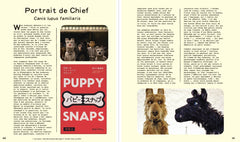 Le musée imaginaire de Wes Anderson