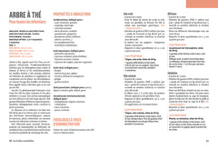 Soigner son chien avec les huiles essentielles