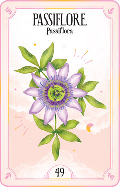 Le coffret des plantes