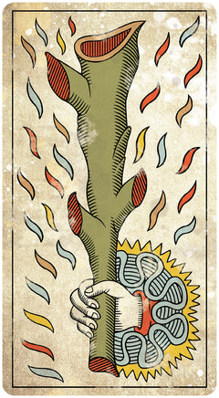 Coffret Tarot de Marseille Vintage