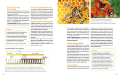 Installer un premier rucher