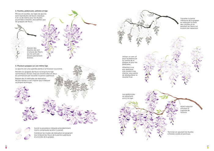 Leçons d'aquarelle japonaise