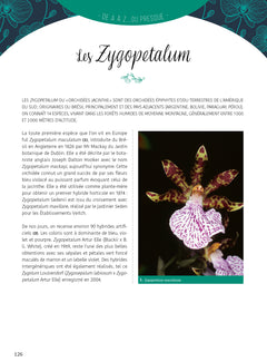 Guide pratique des orchidées