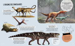 Questions Réponses : Tous les dinosaures