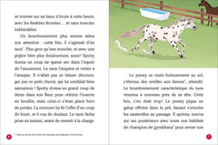 JADE ET LES CHEVAUX - FRAYEUR AU HARAS