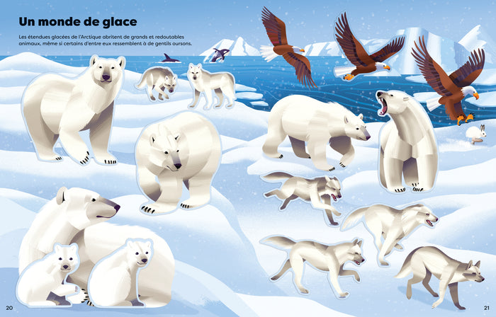 Les animaux dangereux - Mes super autocollants