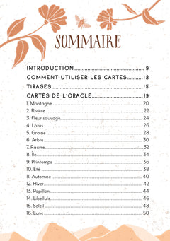 Coffret Oracle du chant de la terre