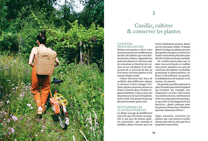 Teindre avec les plantes