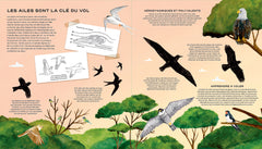 La vie secrète des oiseaux