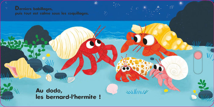 Au dodo - les amis de la mer