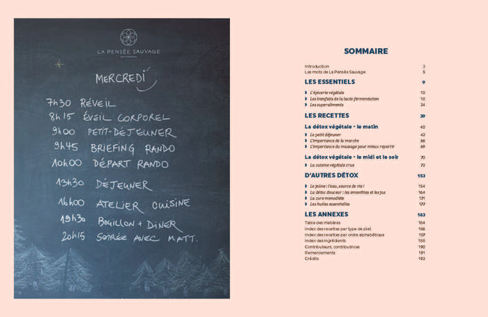 Détox végétale - 70 recettes et conseils pour prendre soin de soi