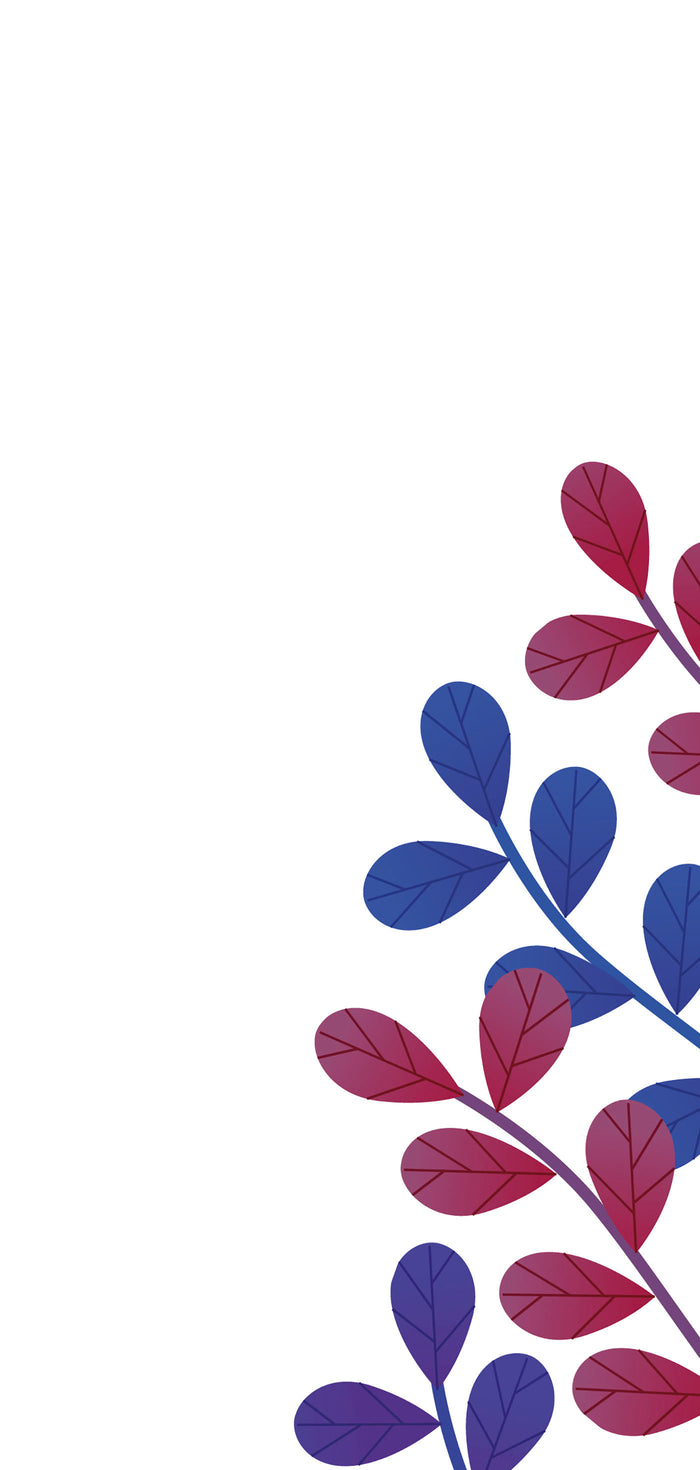 Fleurs de Bach - Le pouvoir de la spiritualité