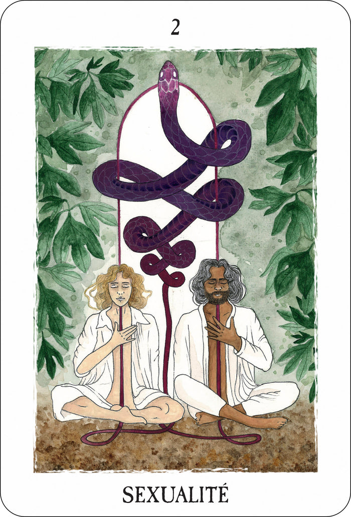 L'oracle des curieux hasards