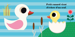 Petit canard