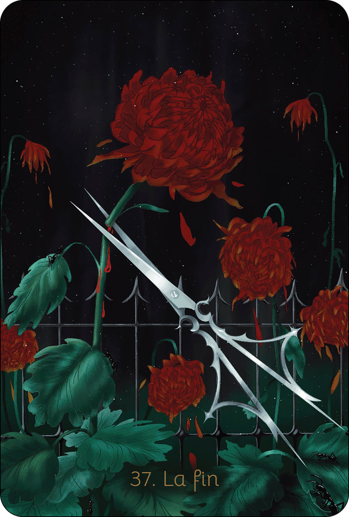 Lumière d'étoile - L'Oracle pour se reconnecter à son enfant intérieur