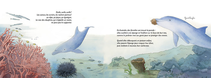 Pas bêtes les bêtes !