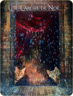 L'oracle initiatique des chats