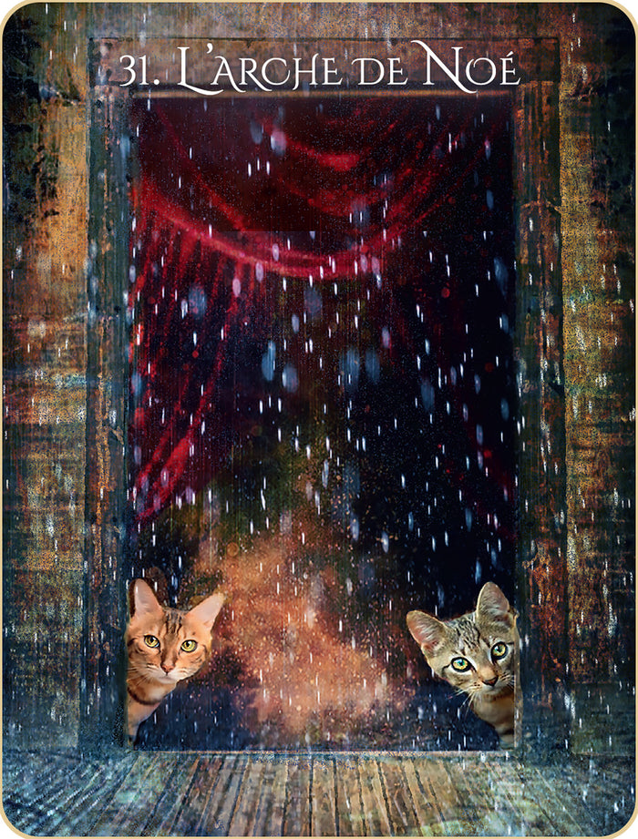 L'oracle initiatique des chats