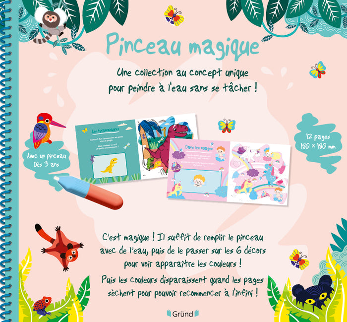 Pinceau magique - Le monde magique