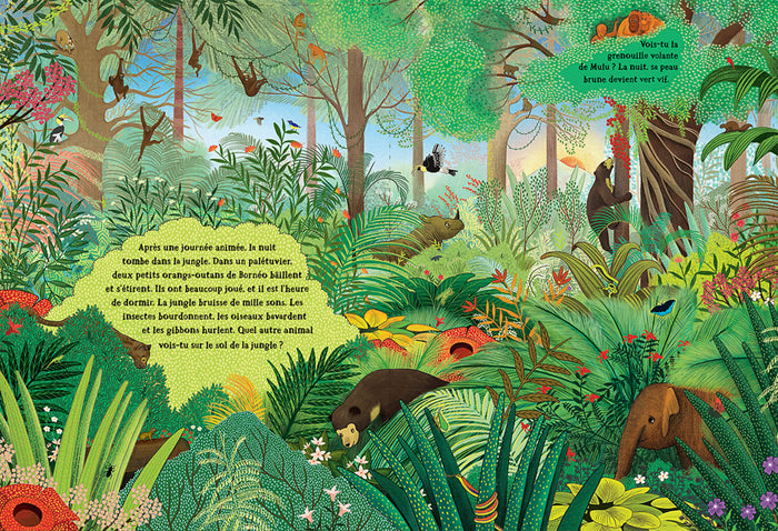 Dans la jungle secrète