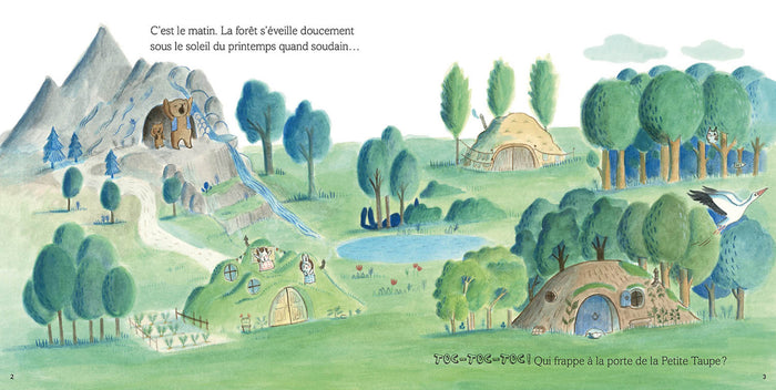 Une surprise pour petite taupe NED