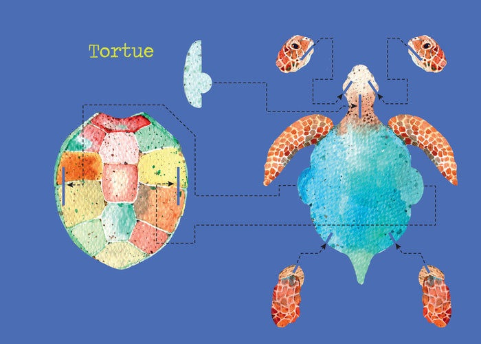 Construis en 3D - Papillons