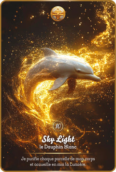 L'oracle des Maîtres Dauphins - Une invitatin à l'Eveil