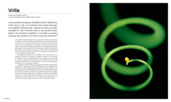 Les formes de la nature