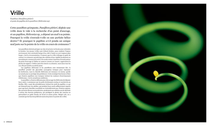 Les formes de la nature